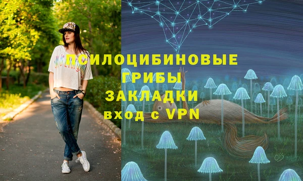 гидропоника Арсеньев