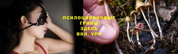 spice Армянск