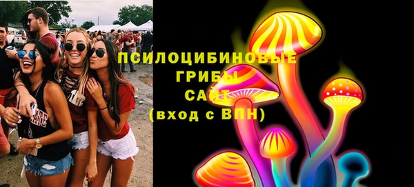 амф Аркадак