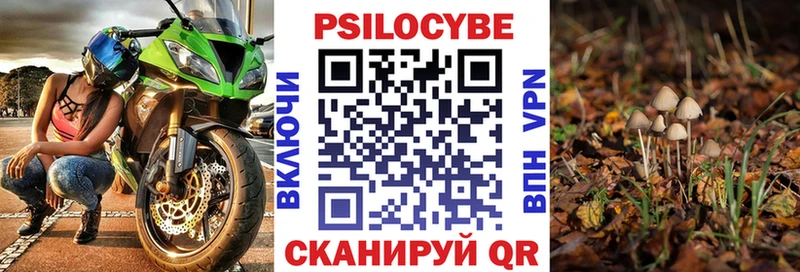Галлюциногенные грибы MAGIC MUSHROOMS  Купить где  Суровикино 